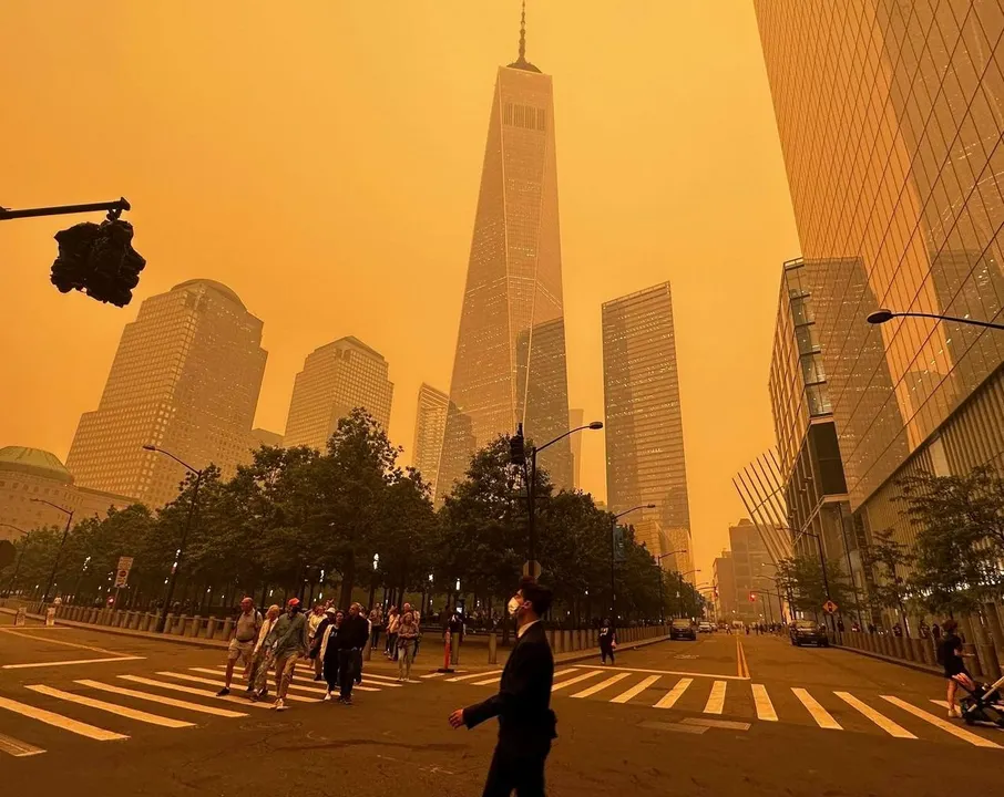 NY