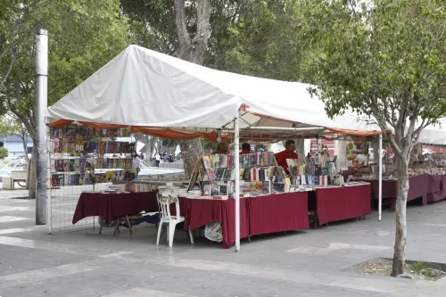 Regresan libreros al Parque del Carmen sin permiso del ayuntamiento