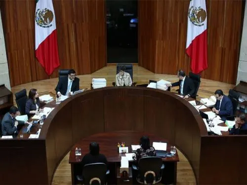 TEPJF: Recursos no ejercidos por partidos deben ser devueltos
