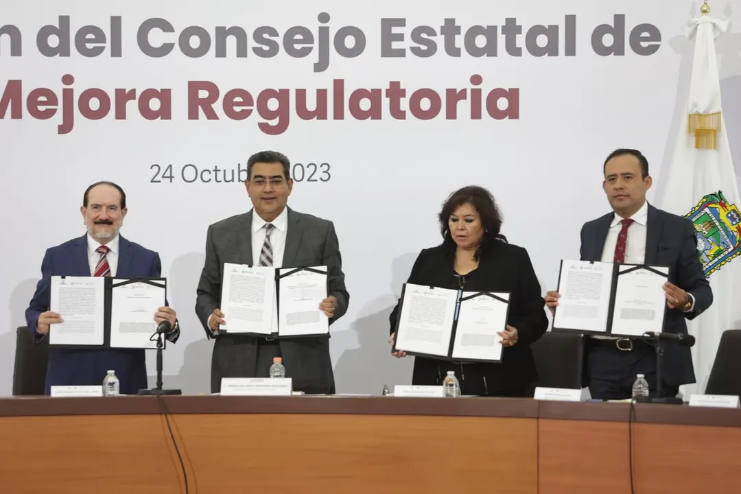 Sergio Salomon Cespedes Mejora Regulatoria