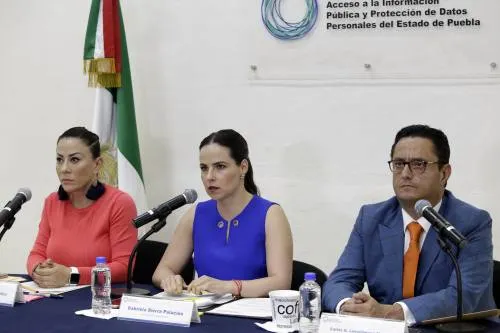 Al Instituto de Transparencia no le templará la mano para aplicar sanciones