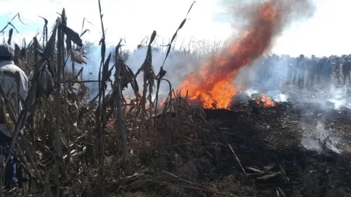 La muerte de los Moreno Valle, ¿atentado o error humano?