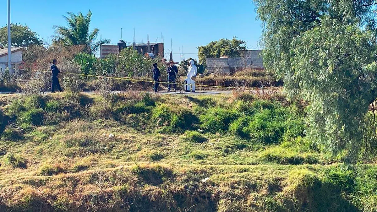 Ejecutado El Chaparro San Sebastian De Aparicio