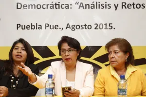 Agustín Basave con el perfil para dirigir el PRD: Quezada