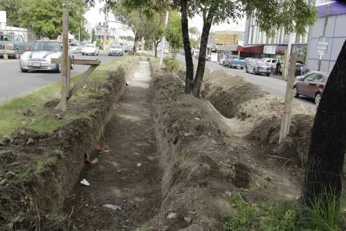 Ni un solo árbol ha sido retirado del trazo de la línea 3 del Metrobús: Navarro Guerrero