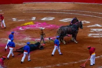 Vuelven a suspender las corridas de toros en la CDMX 