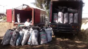 Asegura Profepa 2 vehículos y 3 toneladas de carbón vegetal de encino en Puebla