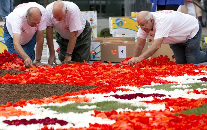Voluntarios construyen una sección de la Alfombra de flores de Bruselas, instalada en la Grand Place.