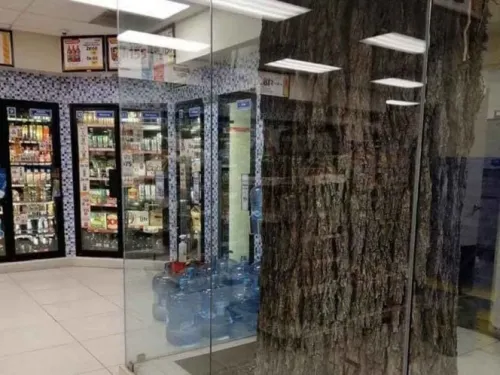 Este OXXO tiene un árbol en su interior, te decimos dónde está