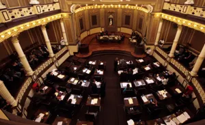 PANAL propone prohibir matrimonios infantiles