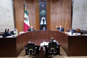 Avalan magistrados retener financiamiento público al Verde