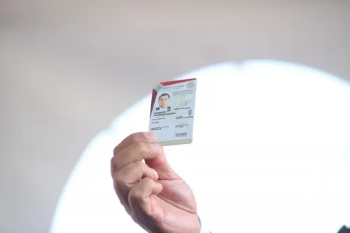 Innecesario cambio de colores en tarjeta de circulación y licencias de conducir