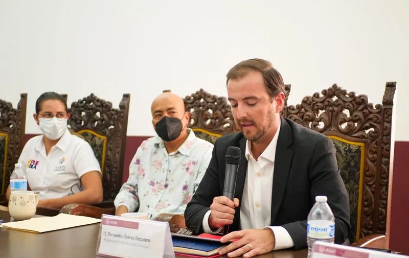Imagen del artículo