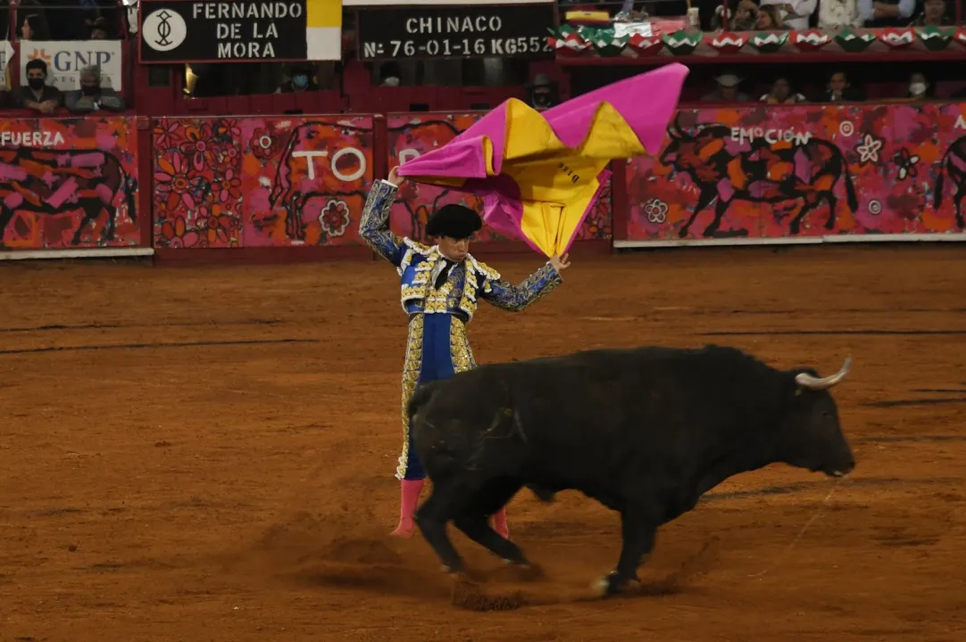 Corrida de toros