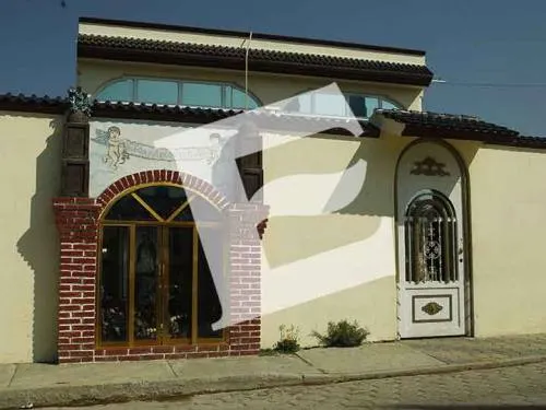 “El Ruso” y “El Vieja”, líderes de huachicoleros en Palmarito