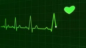 ¿Qué le pasa al cuerpo cuando estás enamorado?