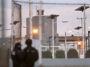 Vigilan a ?El Chapo? con perros entrenados para detectar su olor