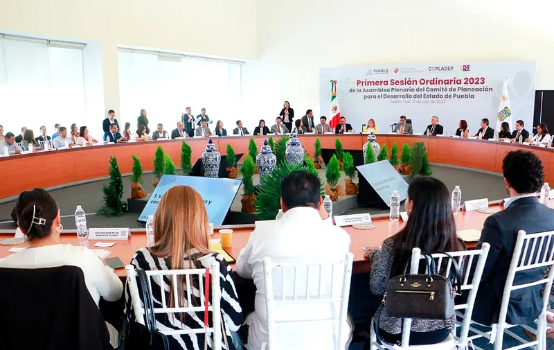 cespedes-peregrina-asamblea-plenaria