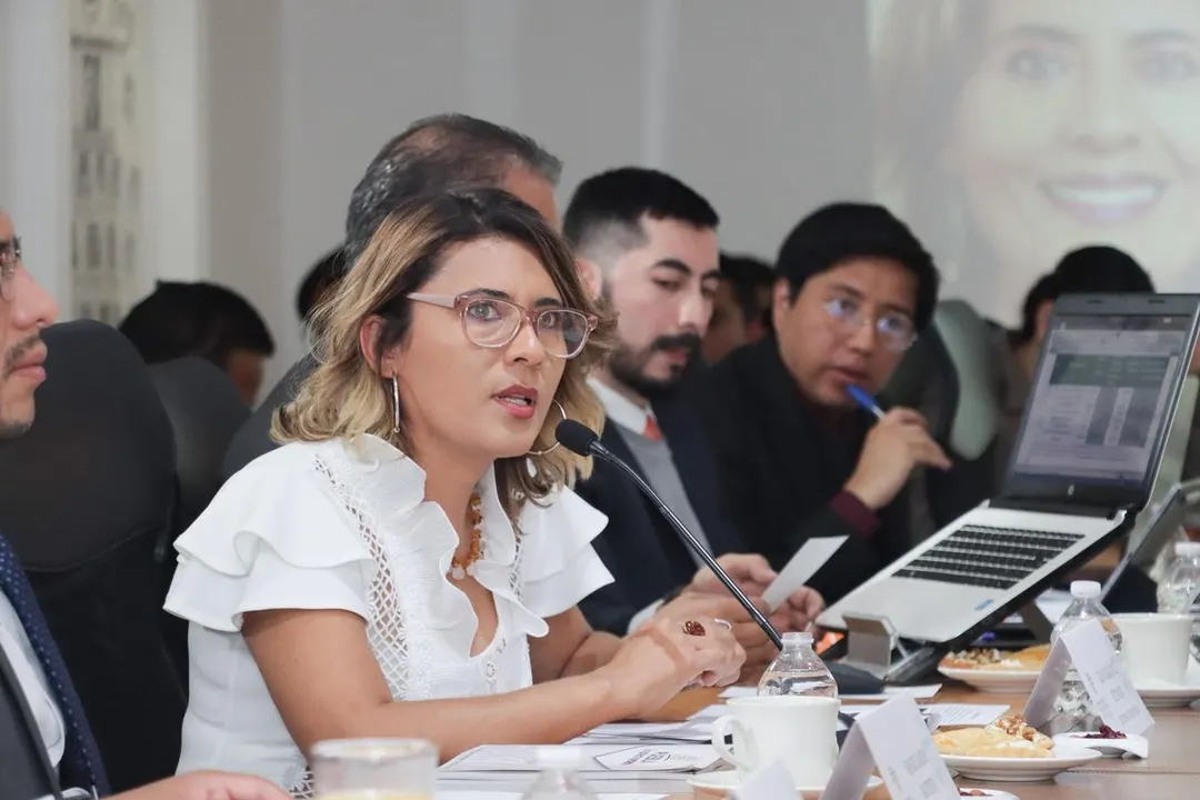 Elsa Maria Ruiz Betanzos Comparecencia Congreso Pue