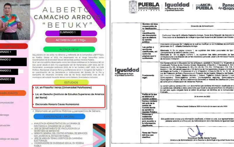 Imagen del artículo