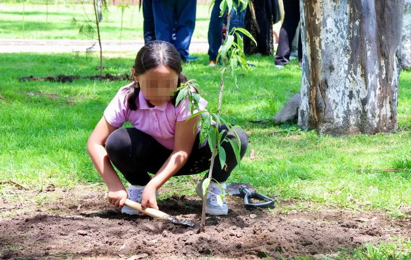 sedif-pue-jornada-reforestacion-los-fuertes