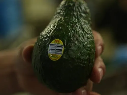Exportación de aguacate, en riesgo por falta de combustible