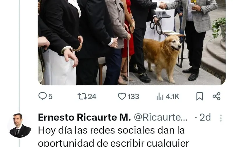 bots-anti-armenta