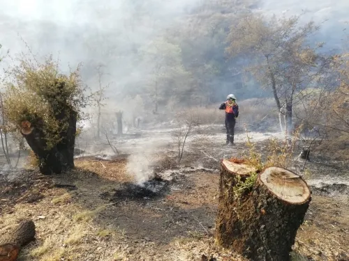 Diariamente se registran hasta 12 incendios en la capital poblana