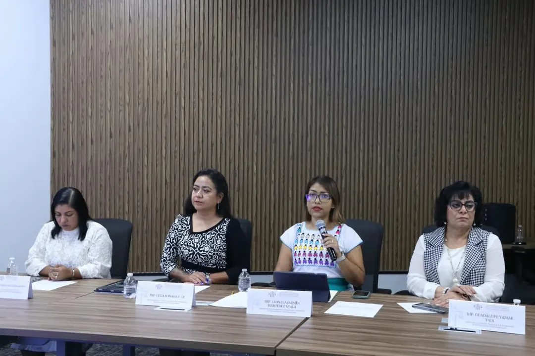 Comisión de Atención a Personas en Situación de Vulnerabilidad del Congreso del estado de Puebla. Foto: Especial