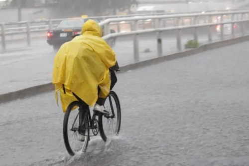 Sin pérdidas que lamentar por lluvias, reporta CRV; hay que seguir con la cultura de la prevención