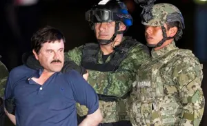 Fusil en escondite de El Chapo asociado a Rápido y Furioso