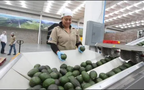 Sector alimenticio ve beneficios en nuevo tratado comercial