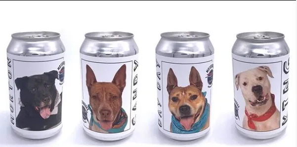 Impulsan la adopción de perros a través de latas de cerveza