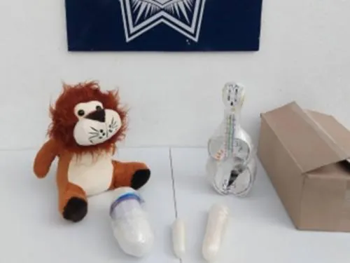 Federales decomisan león de peluche ‘dealer’ en Michoacán