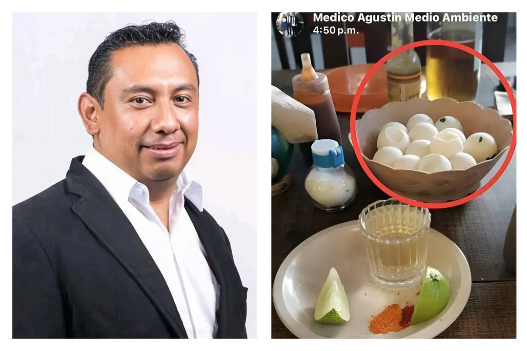Agustin Elias Ramirez Consumo Huevos Tortuga