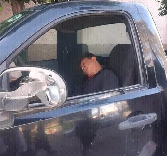 Imagen del artículo