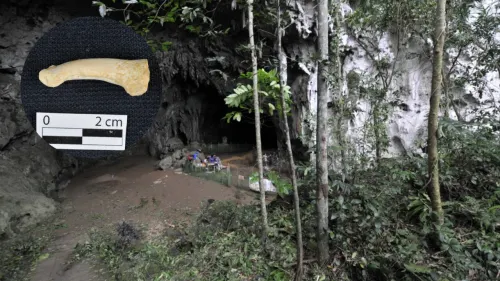 Hallan restos pertenecientes a nueva especie de humana