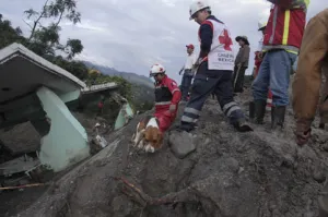 Mueren 10 personas por deslave en Veracruz