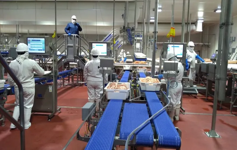 Sector industrial