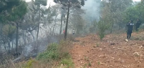 Combaten incendio en Tlatempa