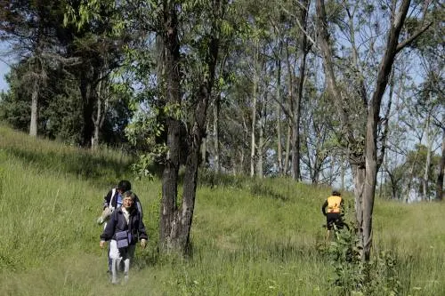 Apoyan vecinos del Cerro de Amalucan la construcción de un parque en la zona