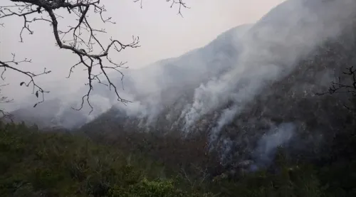 Liquidados seis incendios forestales, se mantienen activos nueve: PC
