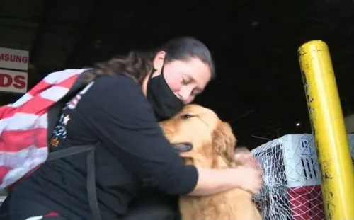 Llegan a Florida 20 perritos que iban a ser sacrificados como comida en China