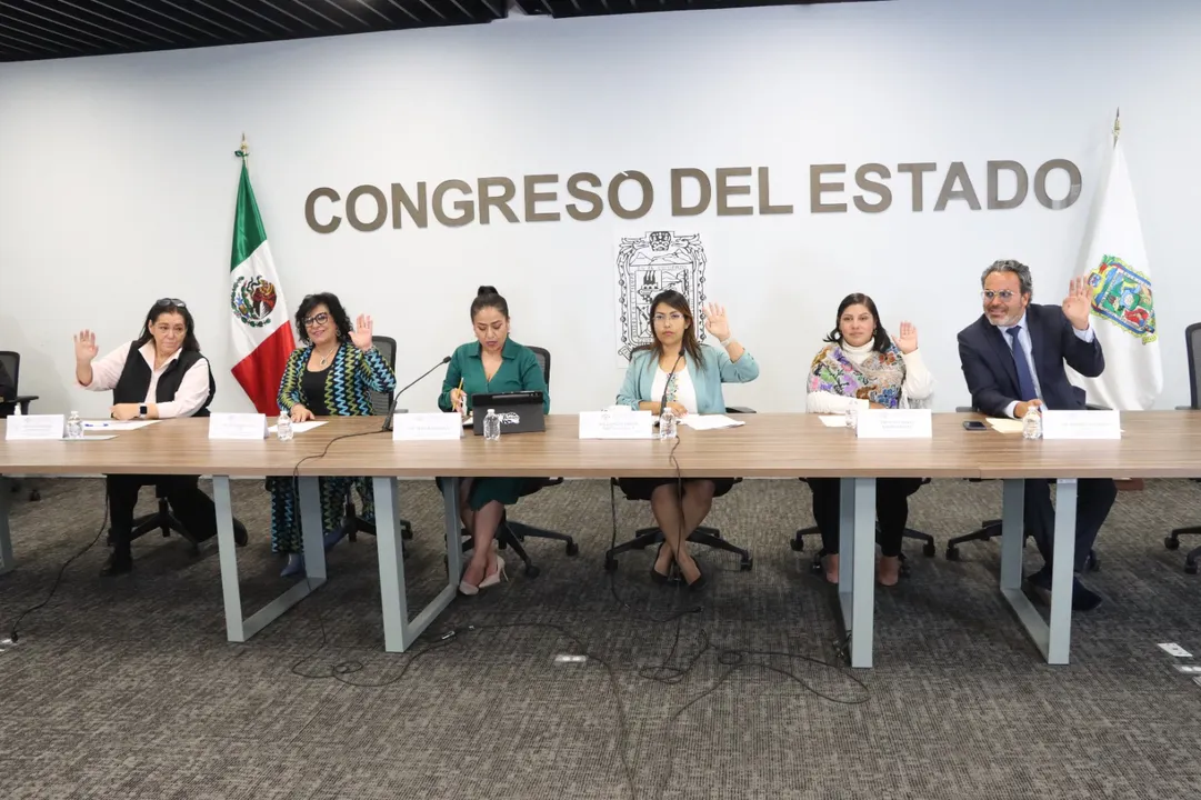 Congreso Pue Atencion Personas En Situacion De Vulnerabilidad