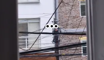 En Ciudad de México, se escucha el audio de fierro viejo en inglés