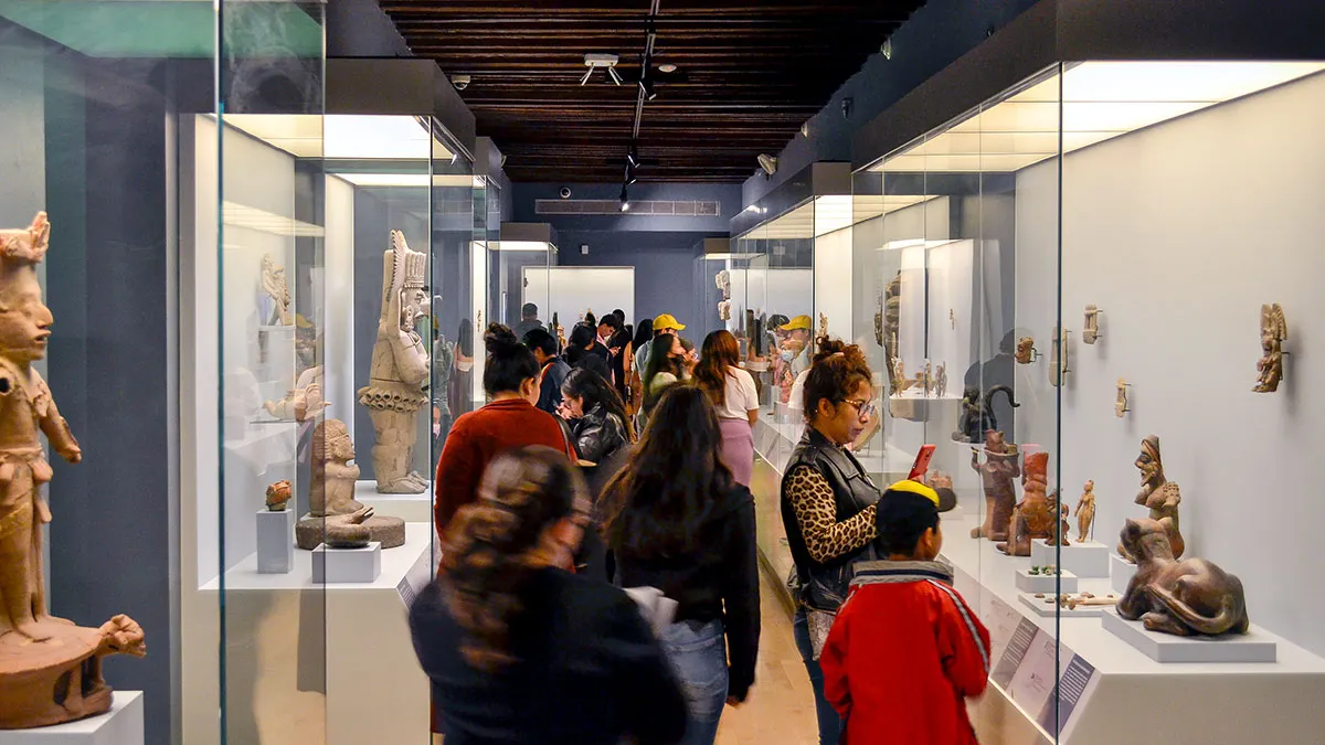 Noche De Museos Museo Amparo