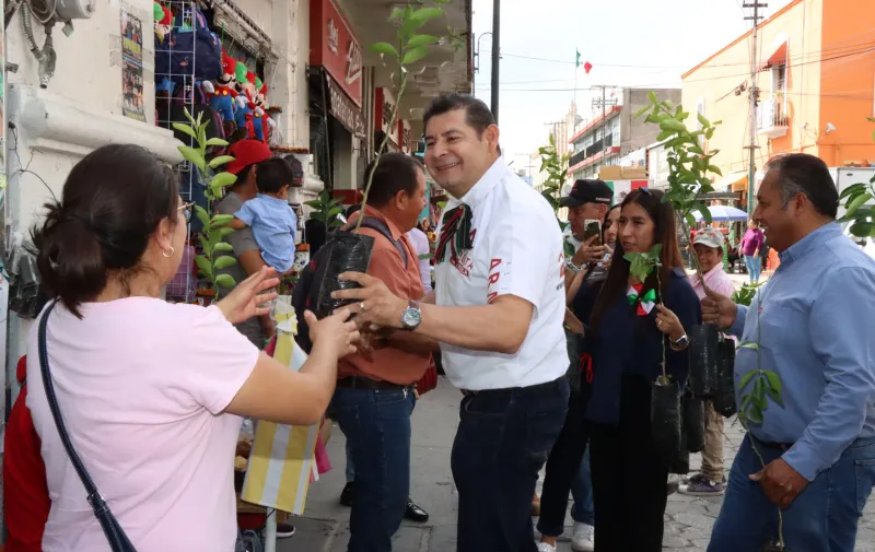 Imagen del artículo