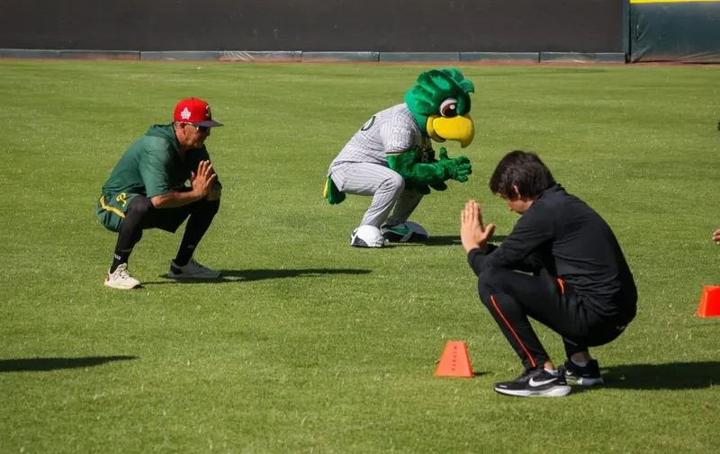 imdp-pericos-pue-clinica-deportiva