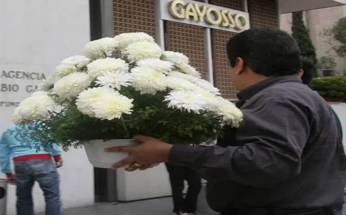 Crecerá la venta de servicios funerarios 30% este año
