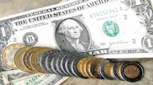COE exige al gobierno federal mecanismos para fortalecer al peso